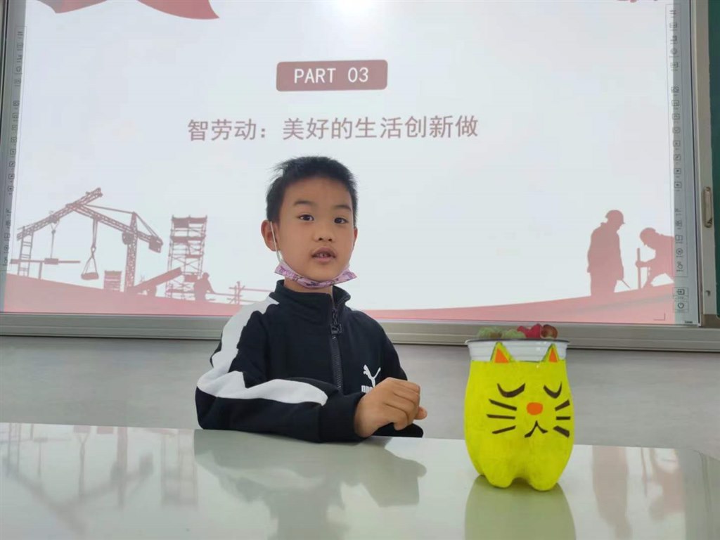 给我的小绿植换件“新衣裳”，猜猜我是怎么做的？.jpg