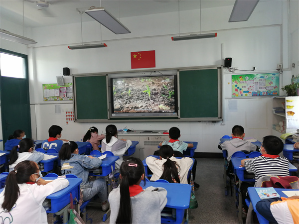 009六年级 (4).jpg