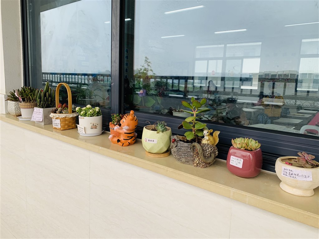 植物角.jpg