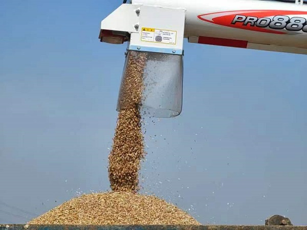 mmexport1652881829546.jpg
