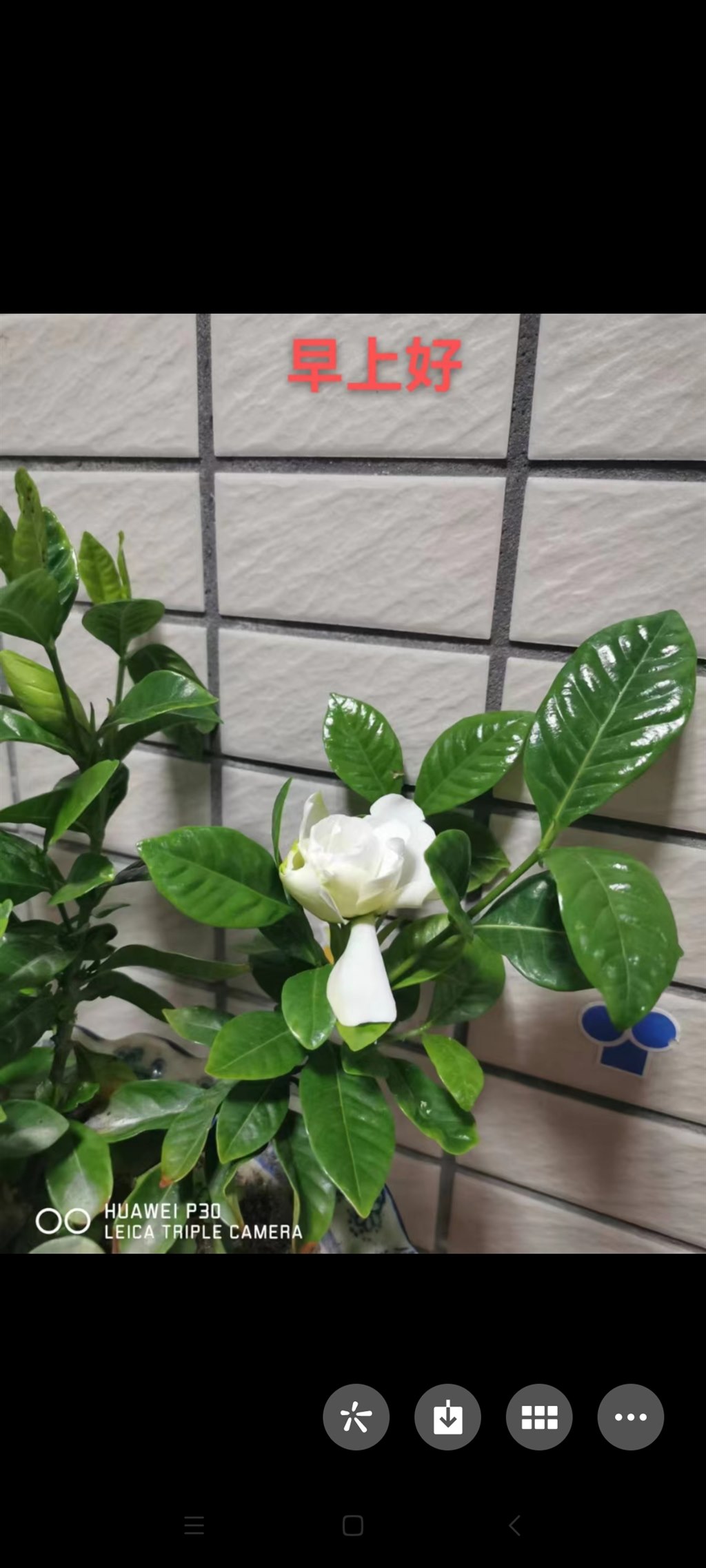 Screenshot_2022-05-20-19-15-19-907_com.tencent.mm.jpg
