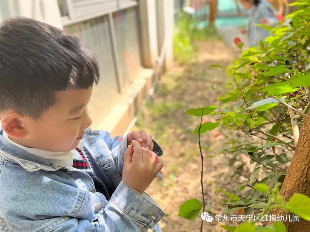 微信图片_20220523102959.jpg