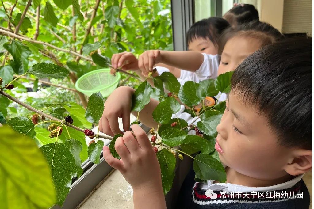 微信图片_20220523103029.jpg