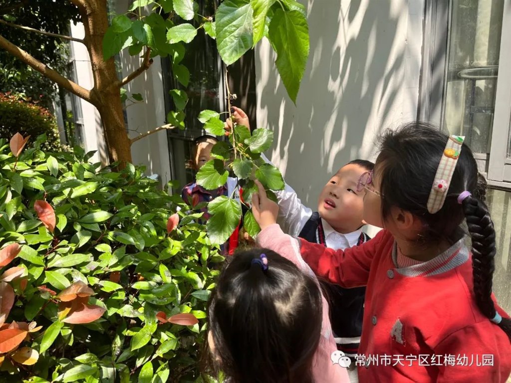 微信图片_20220523103010.jpg