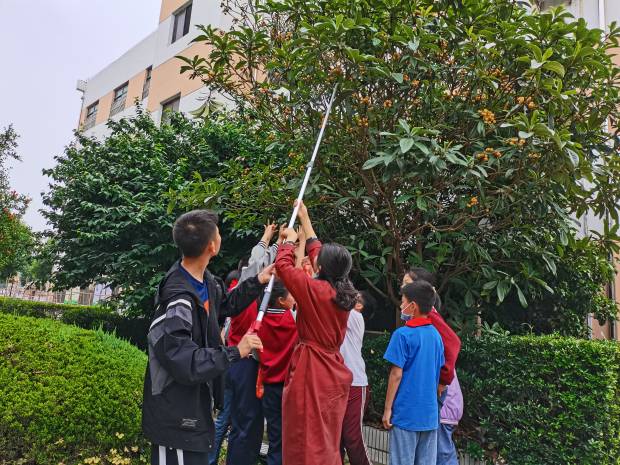 WPS图片-修改尺寸.jpg