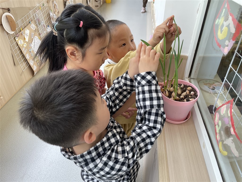 IMG_3543.JPG IMG_3543.JPG