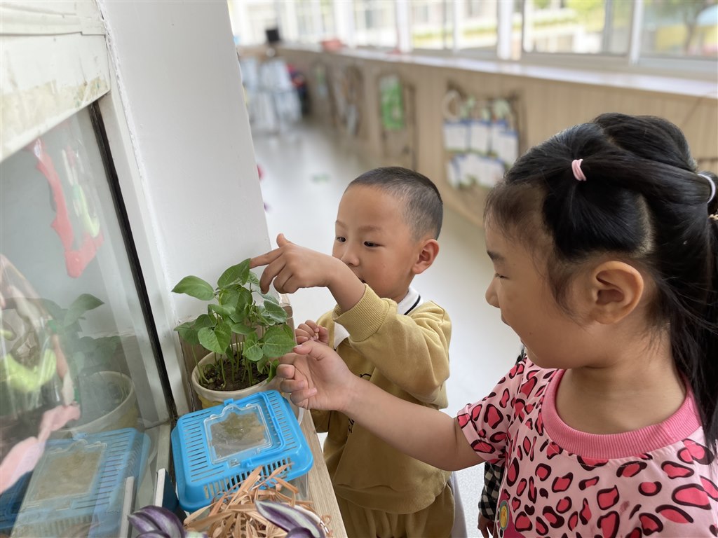 IMG_3547.JPG IMG_3547.JPG