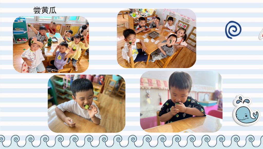 IMG_1904.PNG