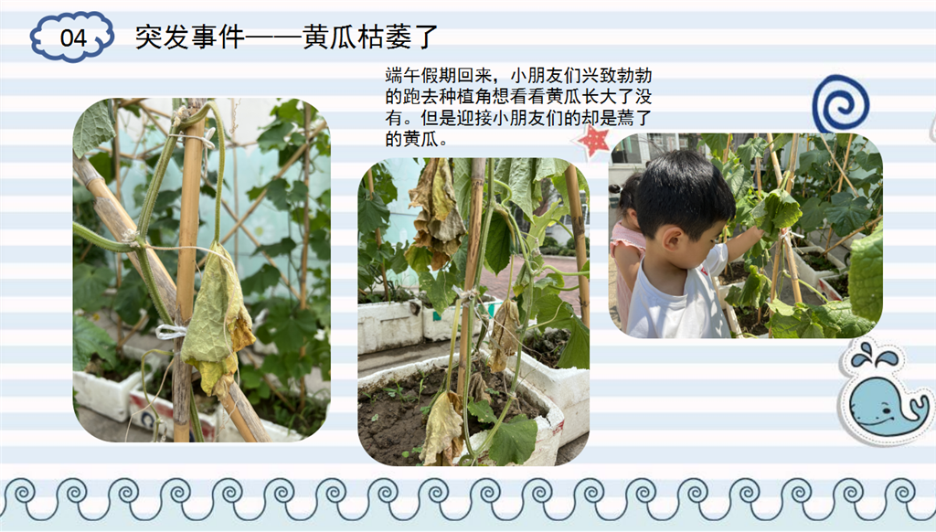 IMG_1903.PNG
