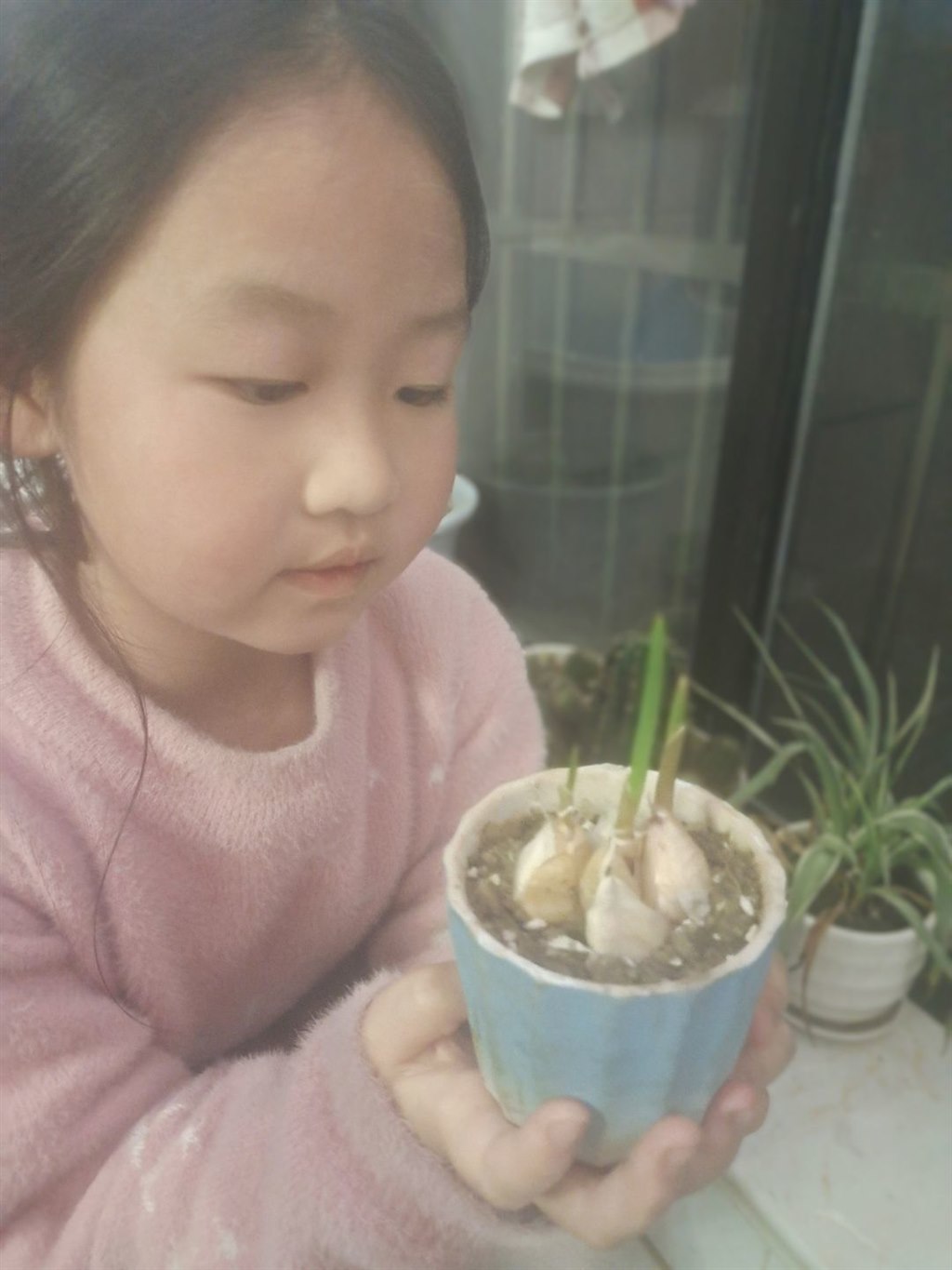 郑.jpg