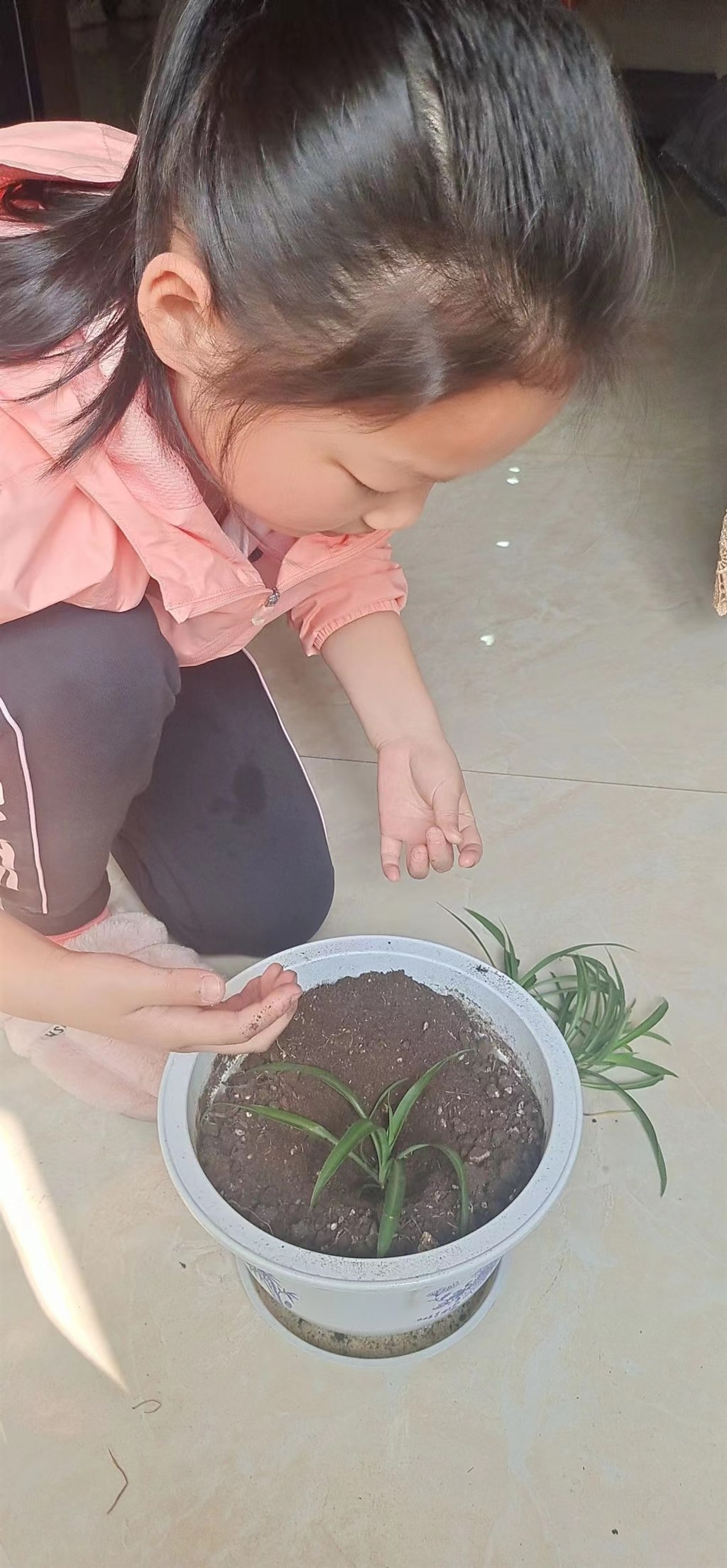 植树1.jpg