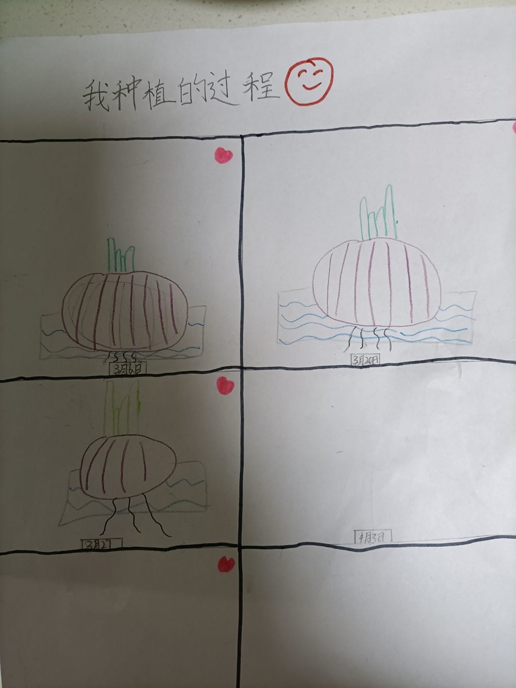 宋观察日记.jpg