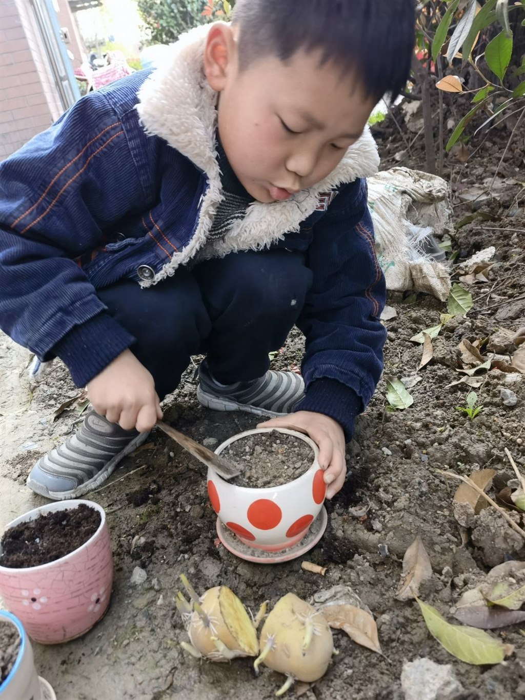 苗.jpg