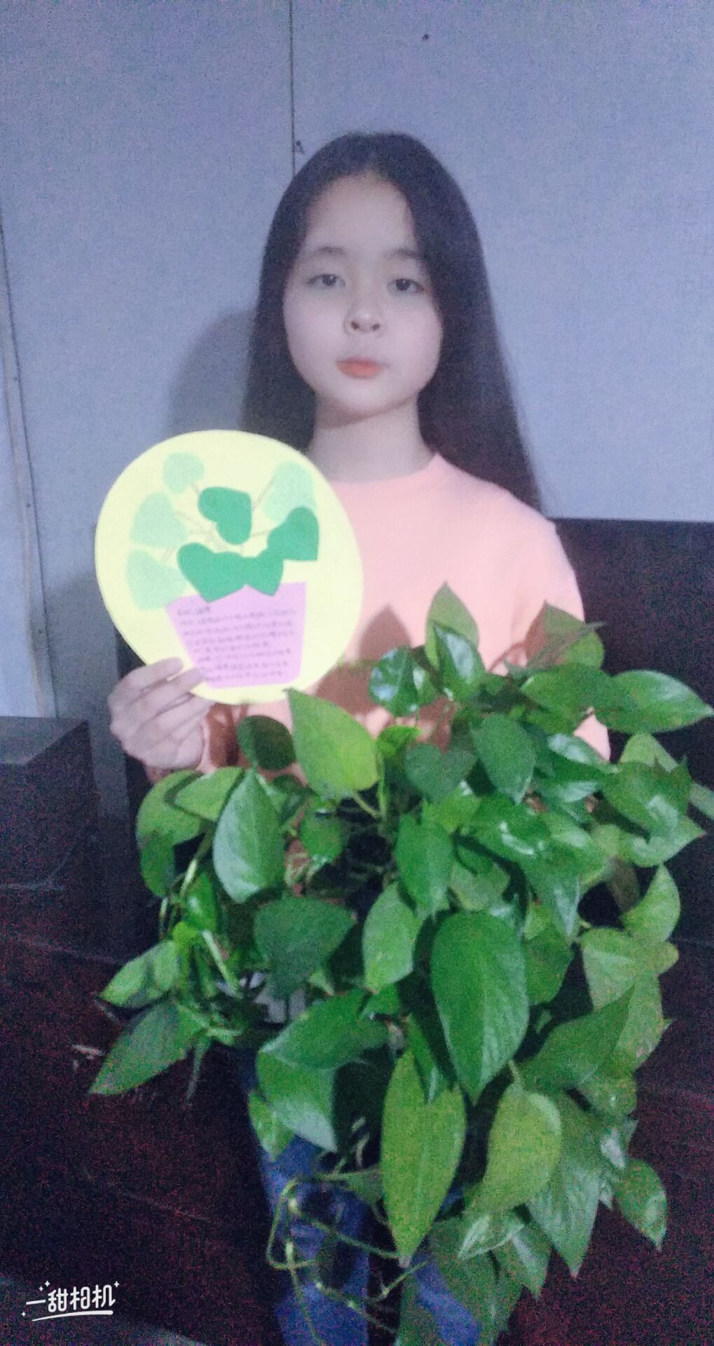 四3班  许思琪  绿萝.jpg