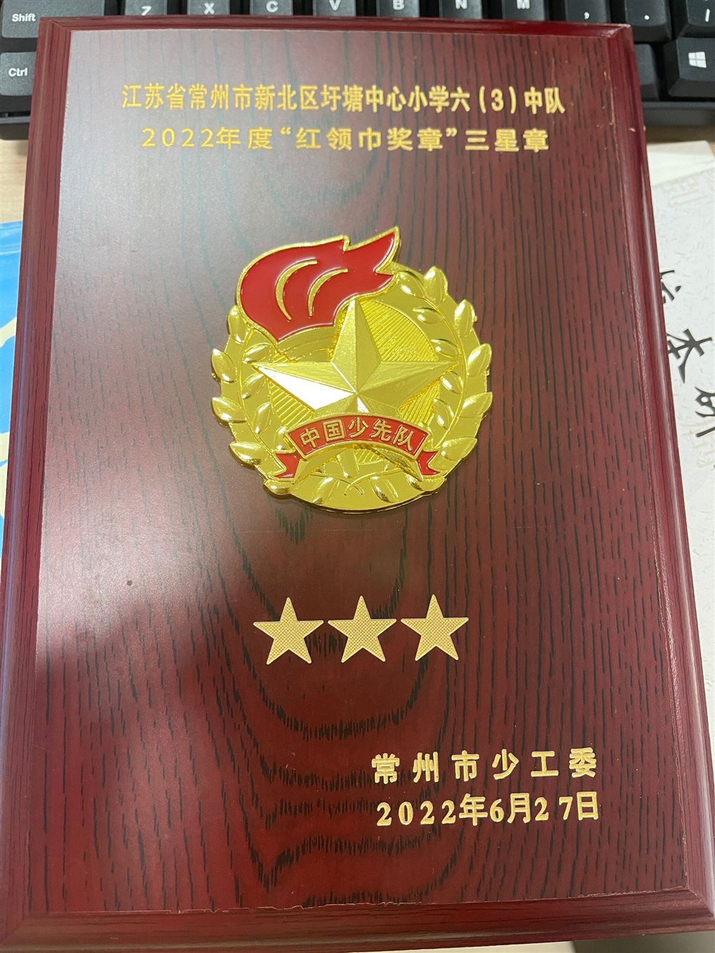 红领巾三星奖章（市22.8）.jpg