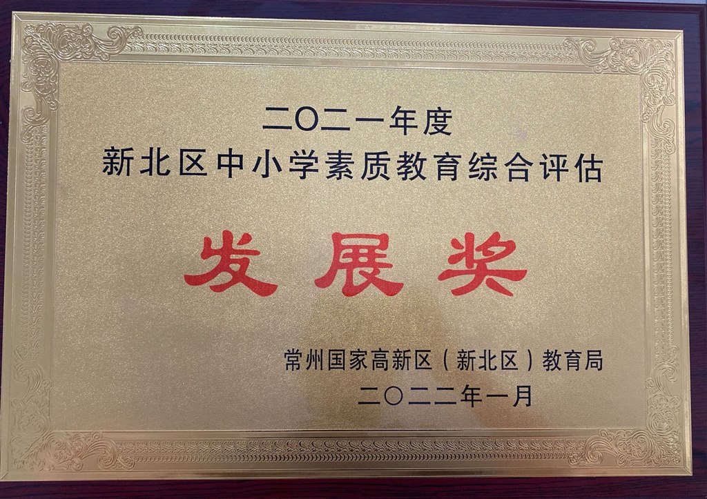 2021年度素质教育“发展奖”.jpg