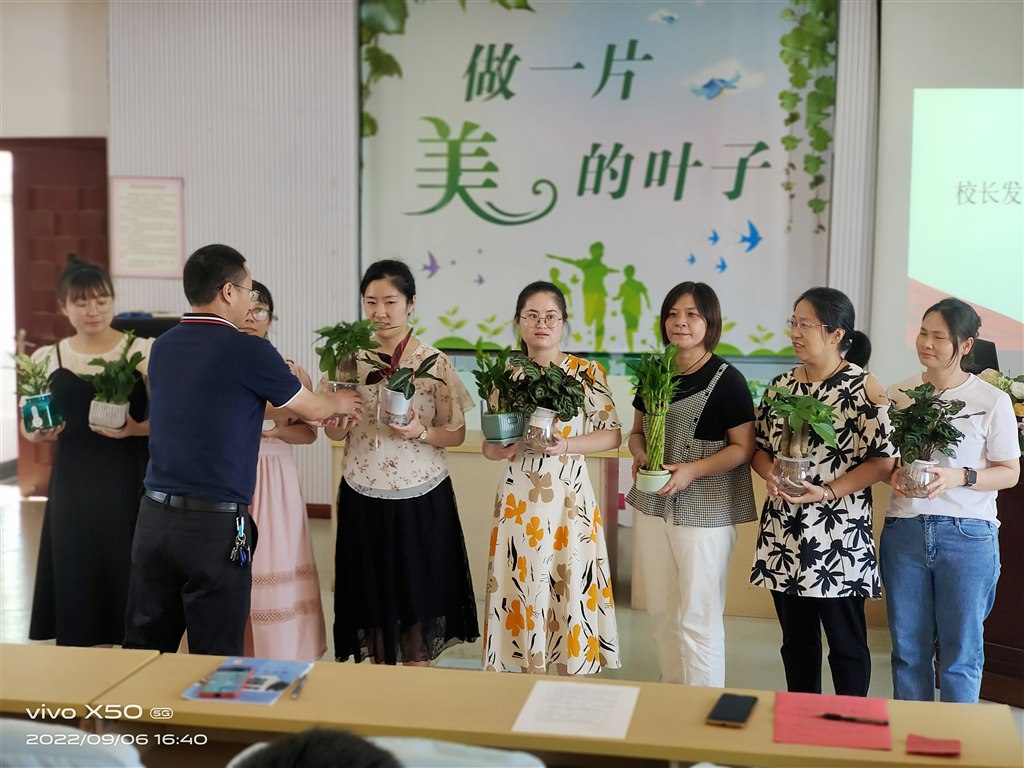 绿植.jpg