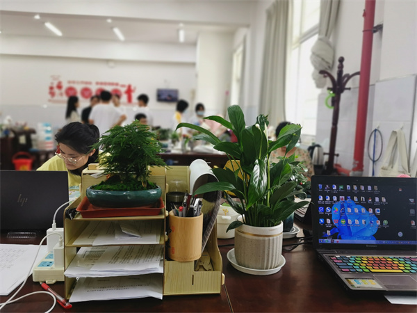 送绿植2.jpg