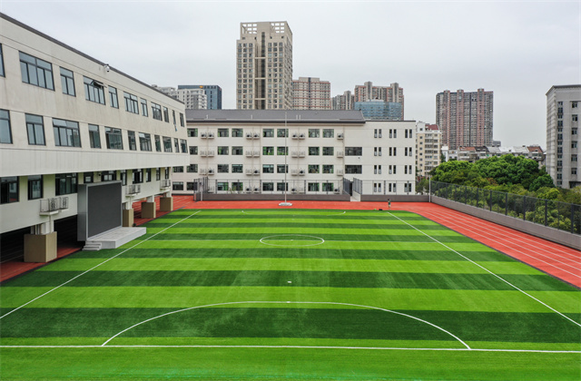 新田家炳 航拍 S-8_副本.jpg