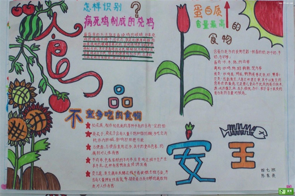 食品安全小报.jpg