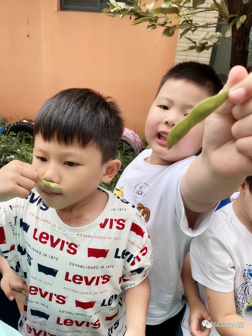 微信图片_20220928103903.jpg