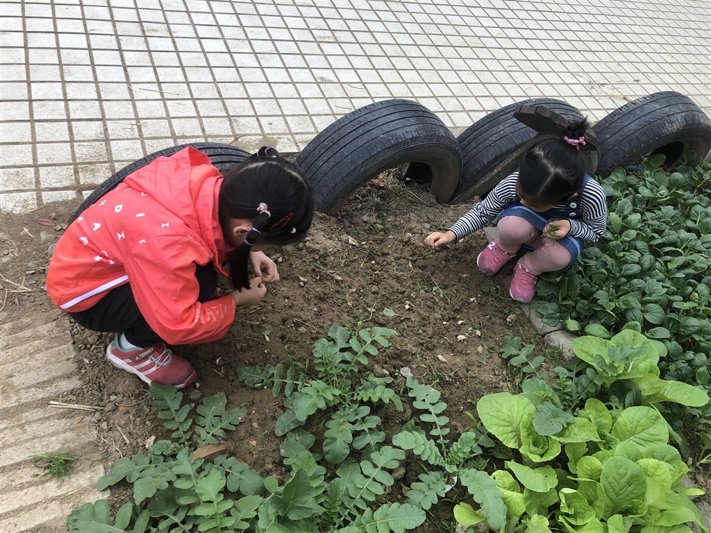 微信图片_20191030134153.jpg