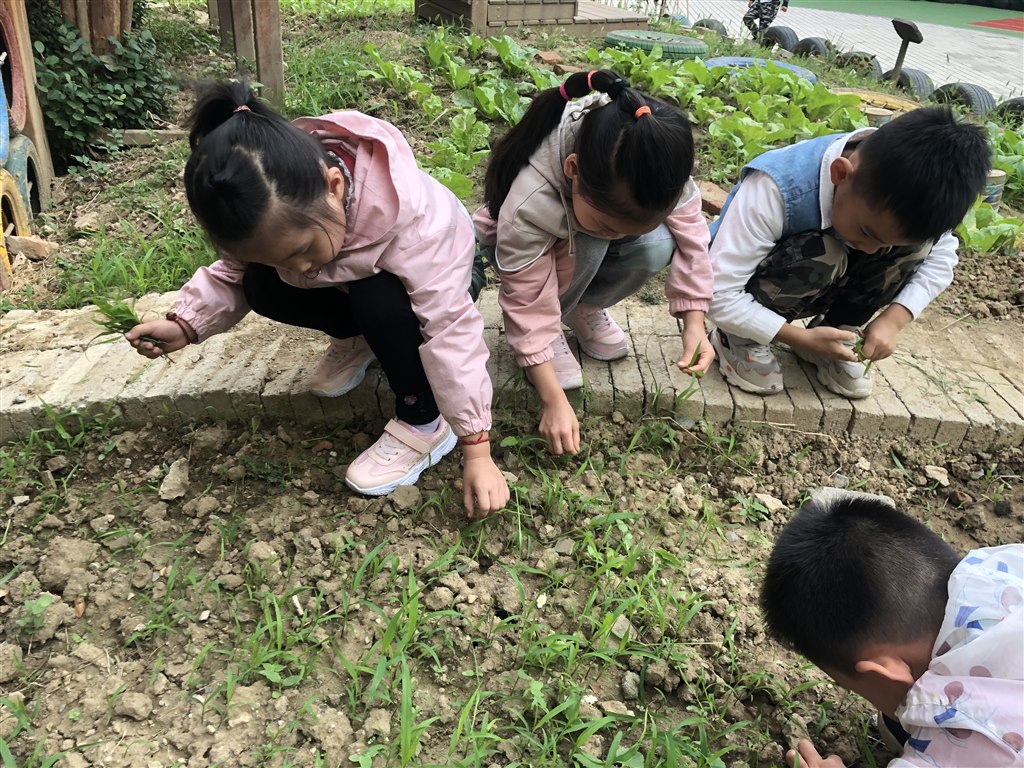 微信图片_20191030134158.jpg