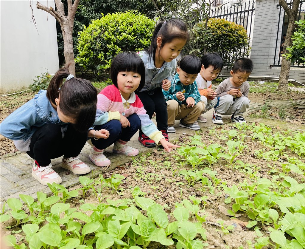 种植2.JPG