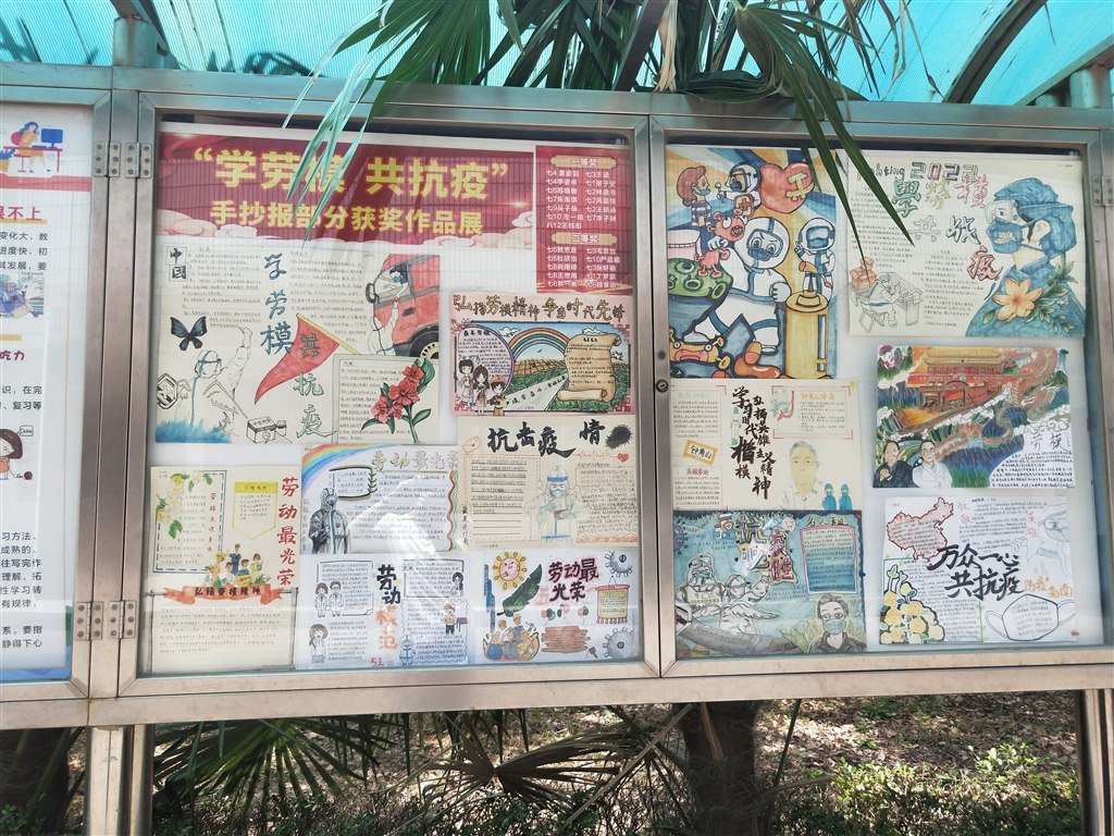 健康知识橱窗宣传3.jpg