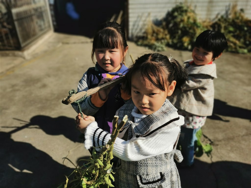搬运豆秆3.jpg