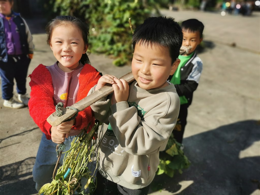 搬运豆秆1.jpg