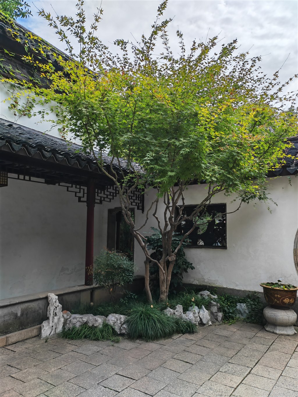 牟桃娟 (1).jpg