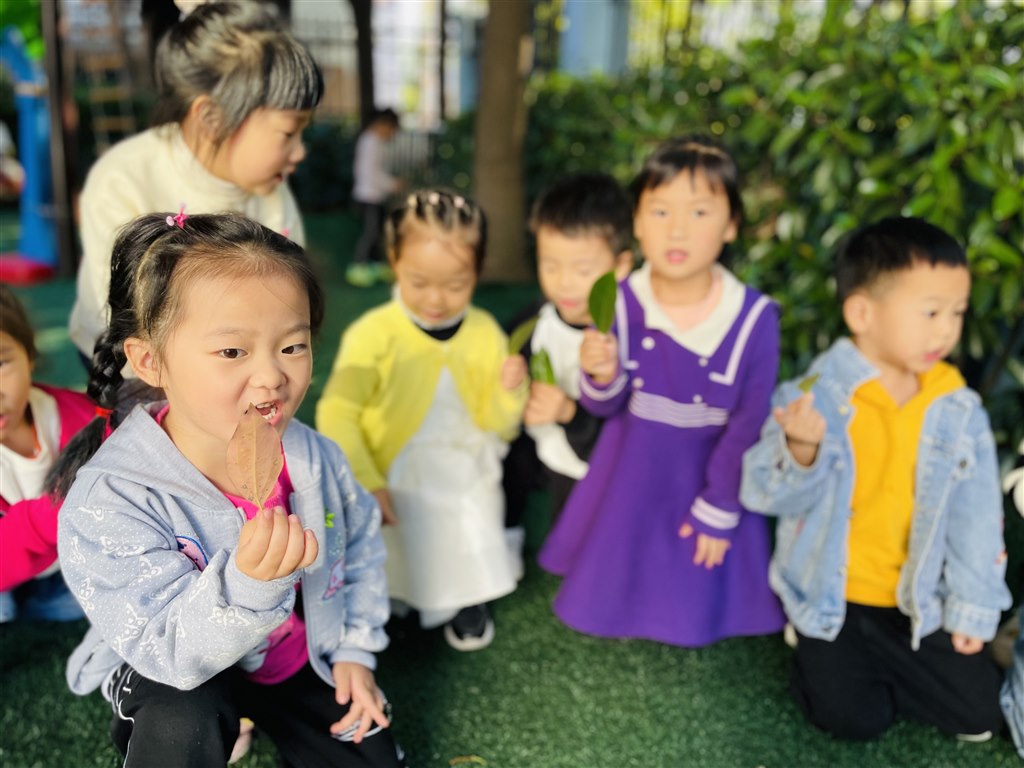 E3768987EFD1EEFCBE18C9C6CEABCEC3.jpg E3768987EFD1EEFCBE18C9C6CEABCEC3.jpg