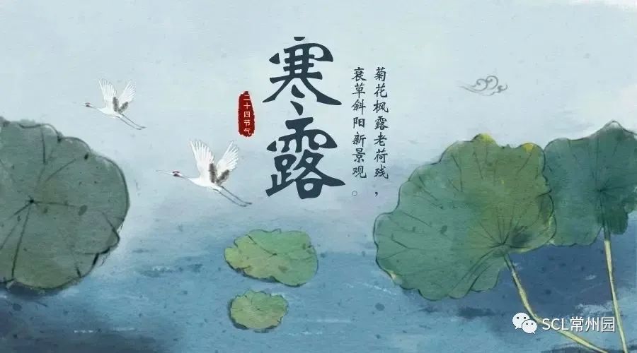 微信图片_20221027140820.jpg