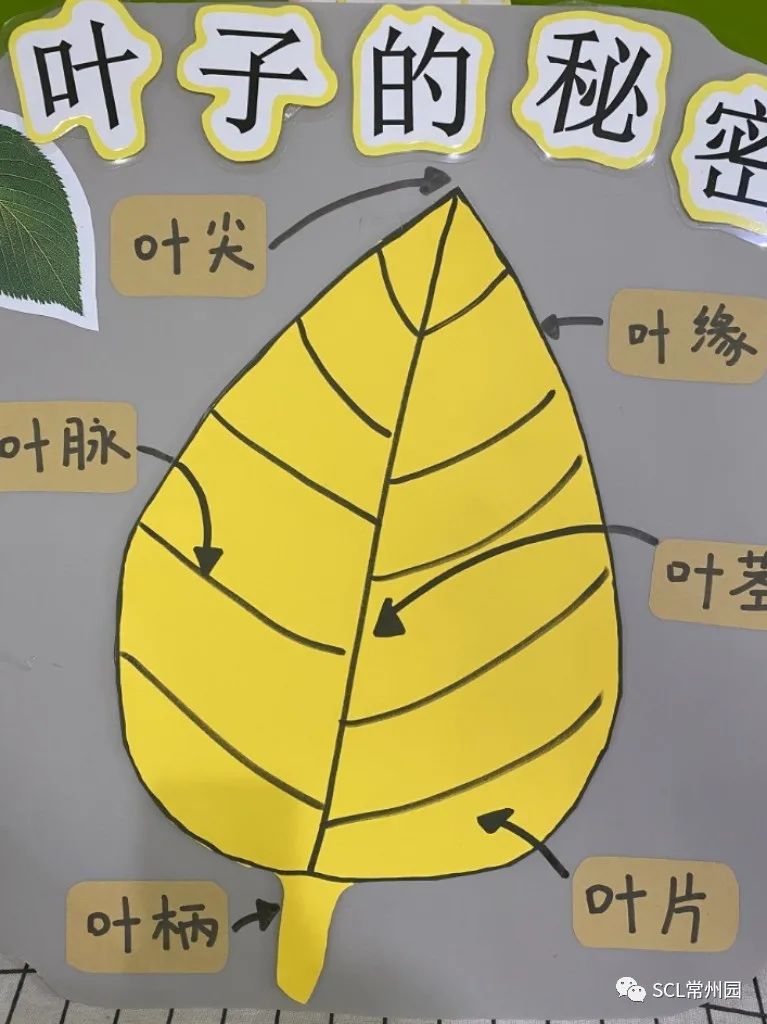 微信图片_20221027150051.jpg