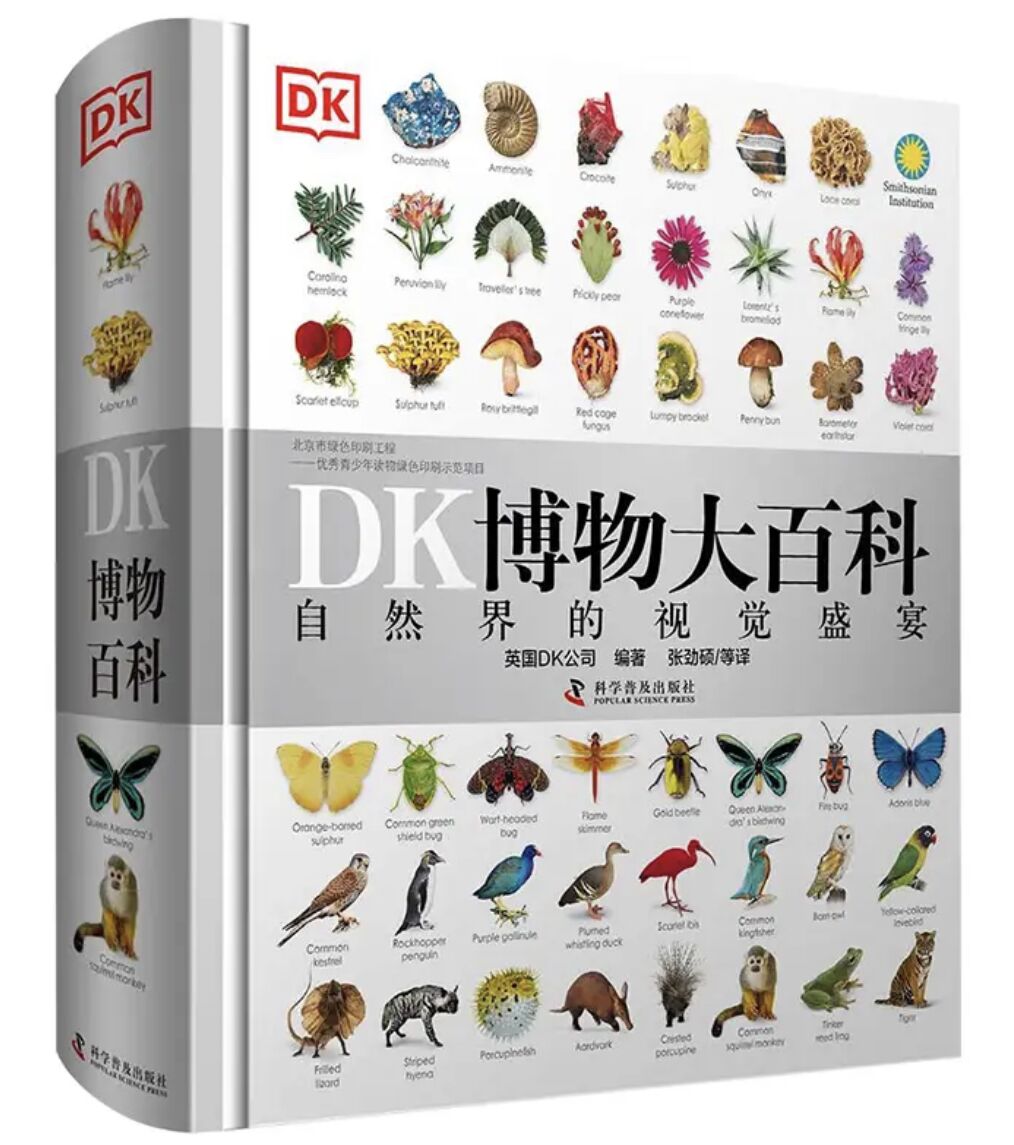 图10.jpg