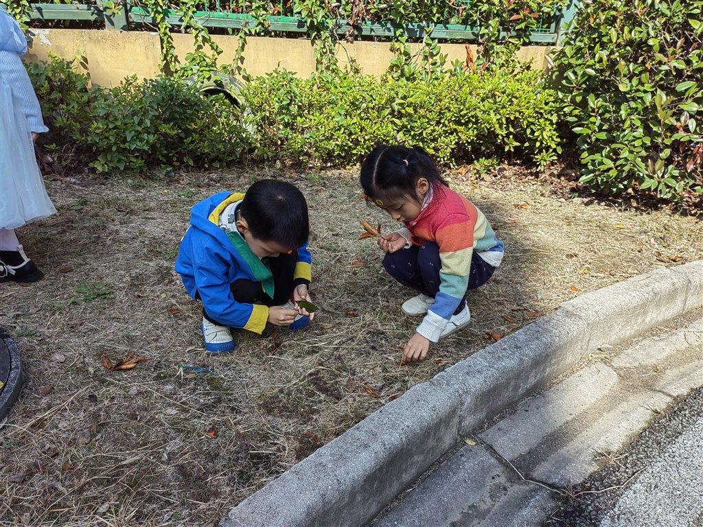 IMG_20221031_103431.jpg
