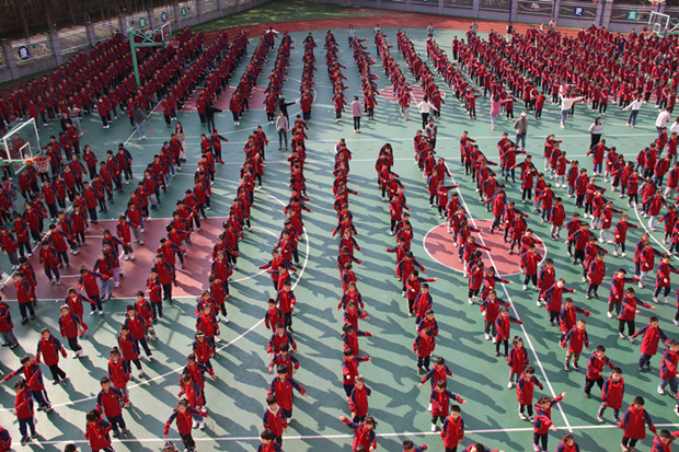 IMG_0690.JPG IMG_0690.JPG