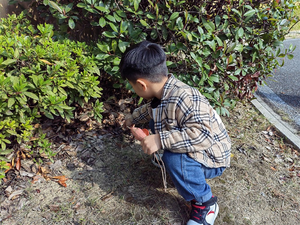 IMG_20221031_103515.jpg