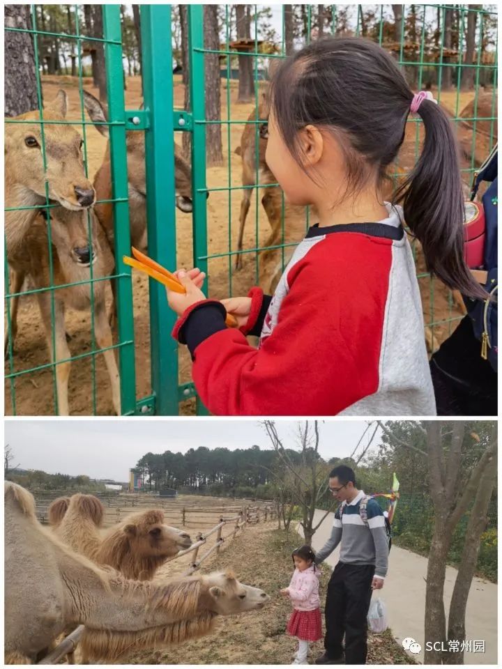 微信图片_20221031165816.jpg