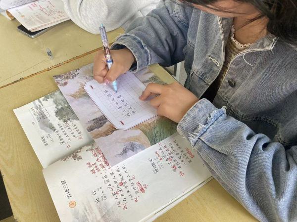 图片2_副本.png