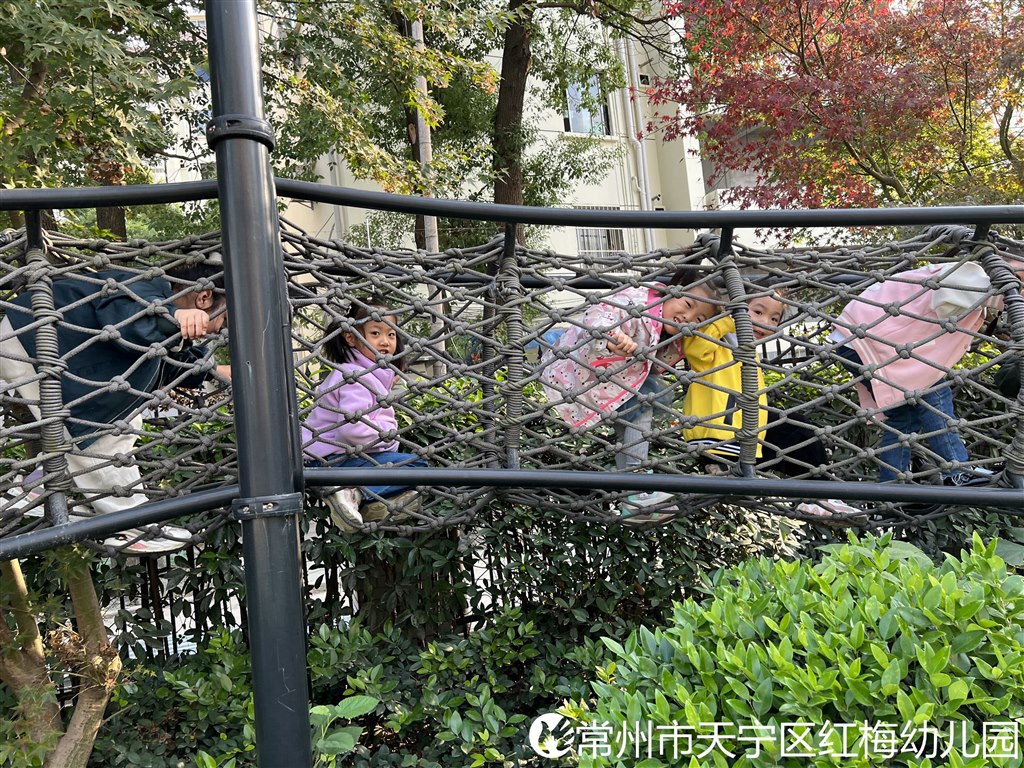 钻网1.jpg