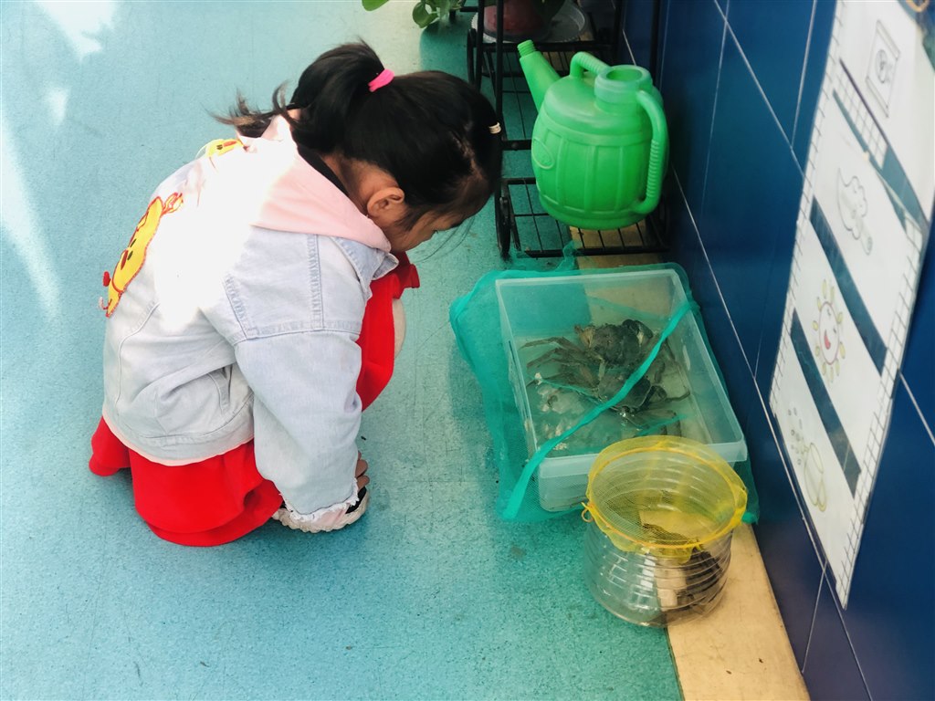 IMG_4121.JPG IMG_4121.JPG