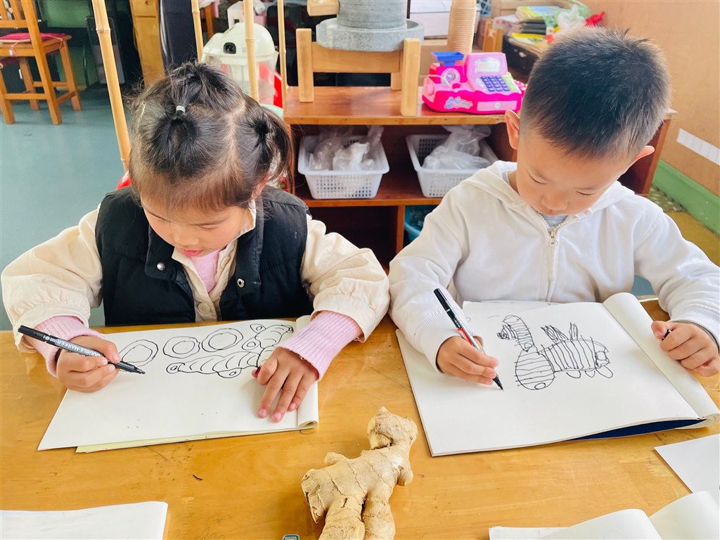 QQ图片20221110075834.jpg QQ图片20221110075834.jpg