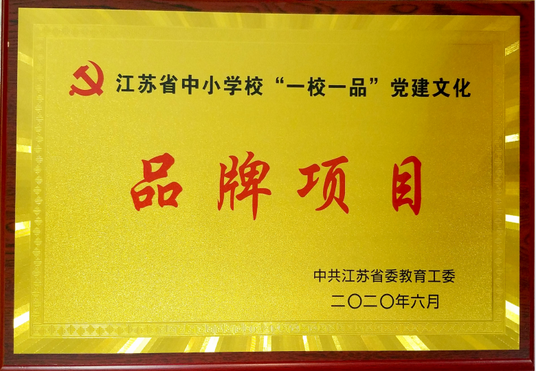 党建品牌项目.png