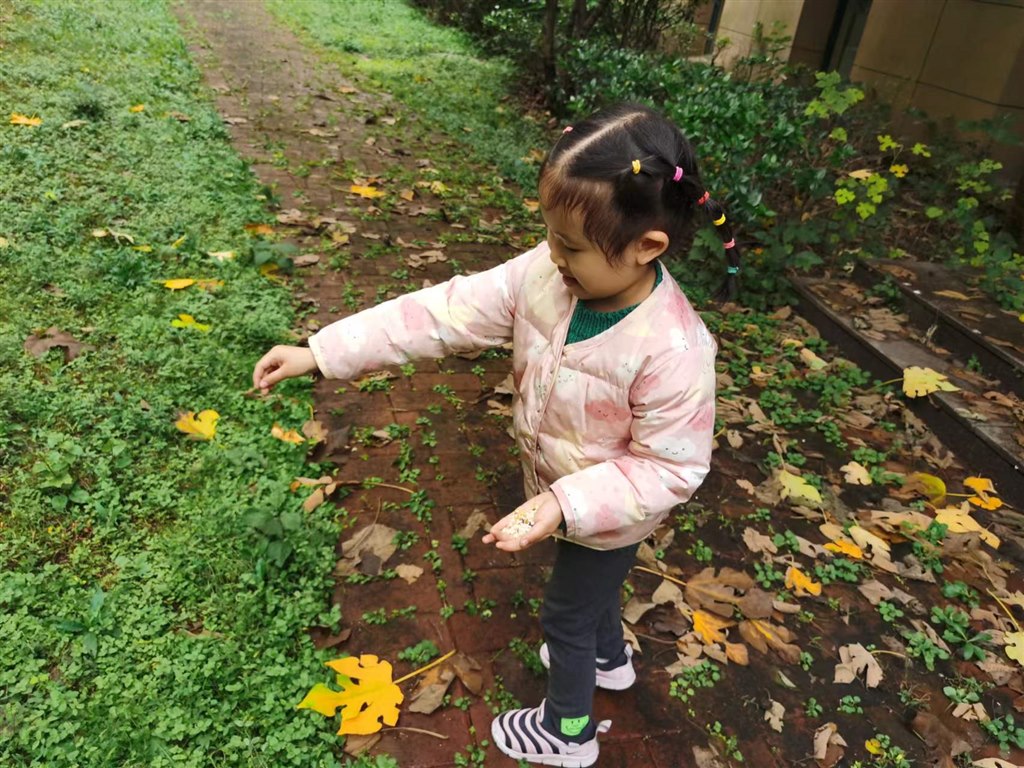 微信图片_20221118142134.jpg 微信图片_20221118142134.jpg
