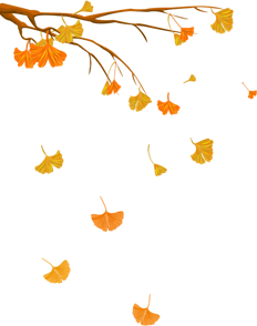 微信图片_20221124130206.png 微信图片_20221124130206.png