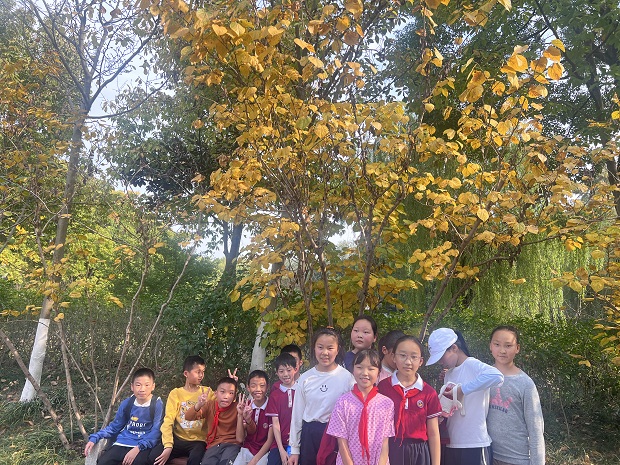 照片3.JPG 照片3.JPG