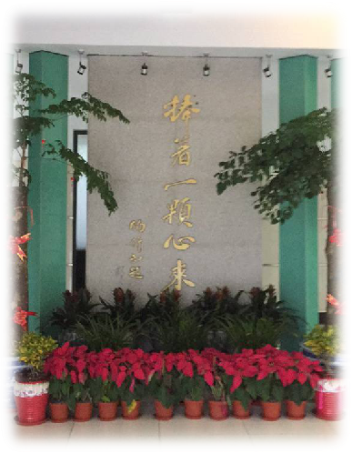 图片10.png