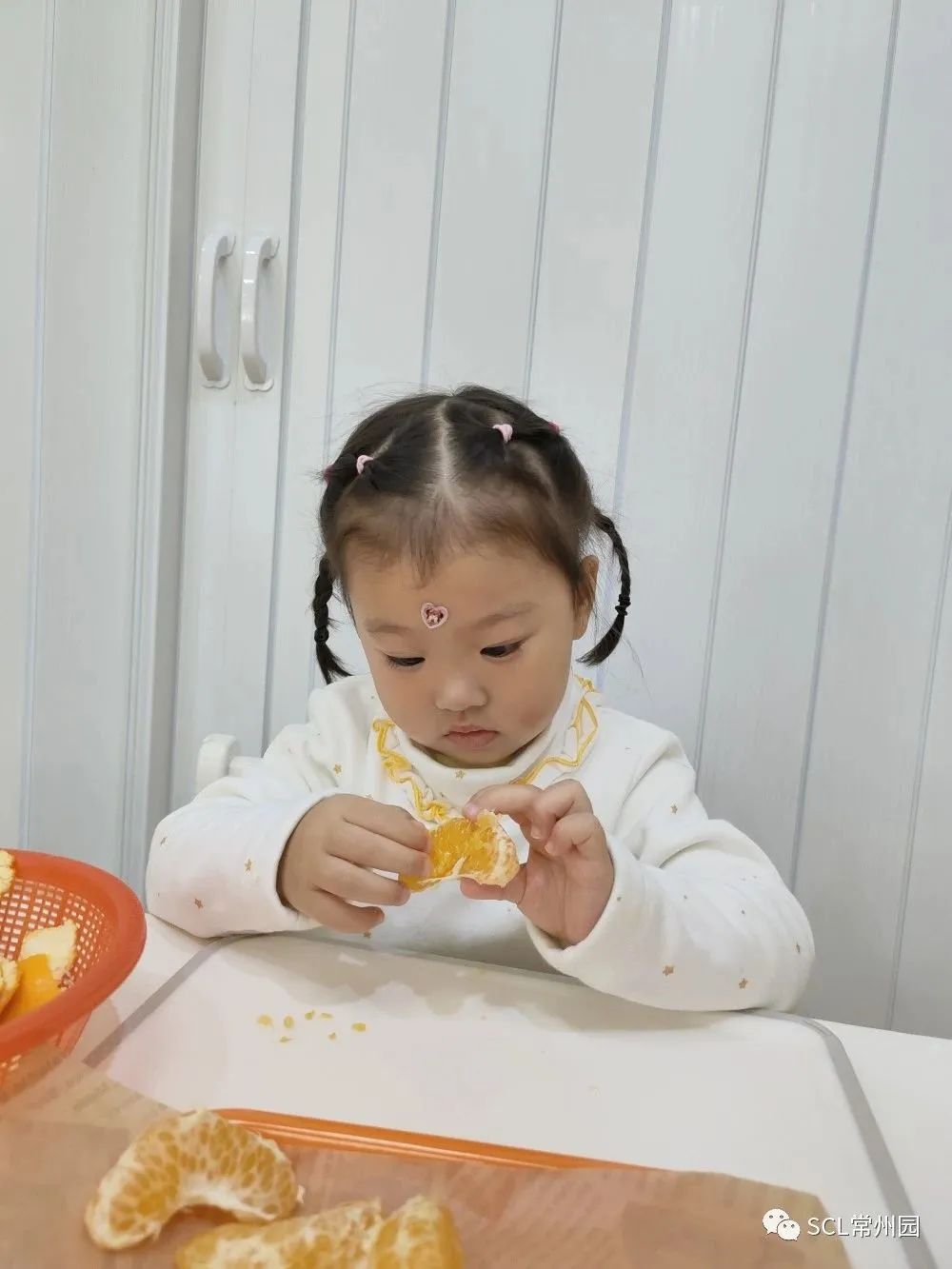 微信图片_20221212144254.jpg